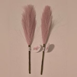 Valentine's Day Pink Pampas Picks